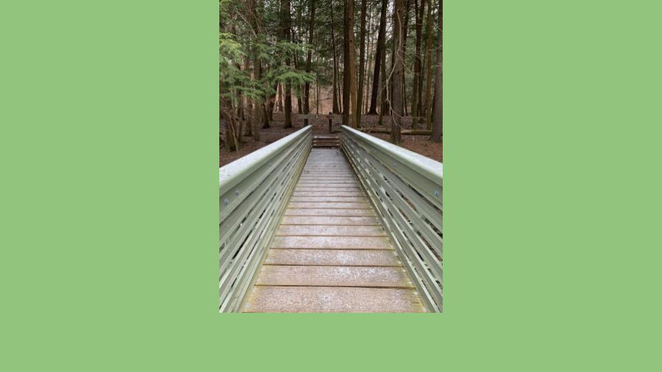 Image for Winter Woods Walkway (Physical)
Taken at the entrance to Buttermilk Falls State Park near Ithaca, NY
